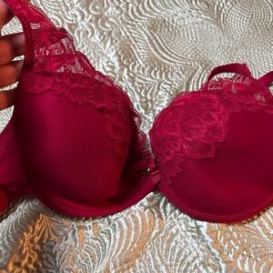 Elegant Lace Trimmed Bra in Deep Pink